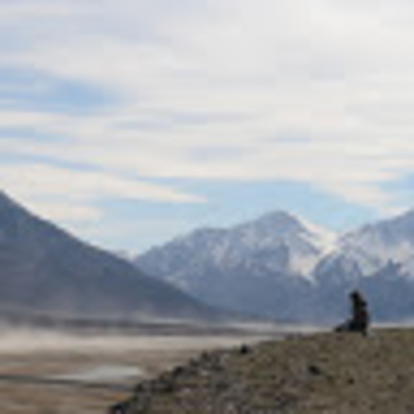 Meet your Posher, Liz - Picture 1 of 1